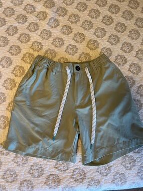chubbies light green Drawstring Athletic Shorts